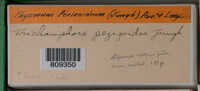 Image Associated With the Occurence